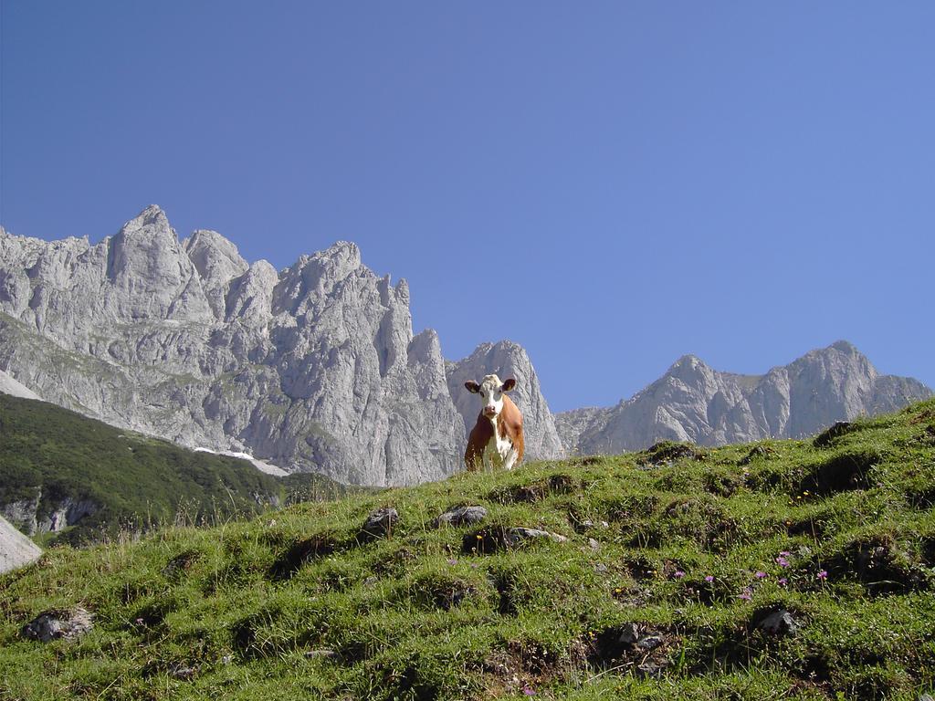 Alpenappartement Europa Sankt Johann in Tirol Exterior foto