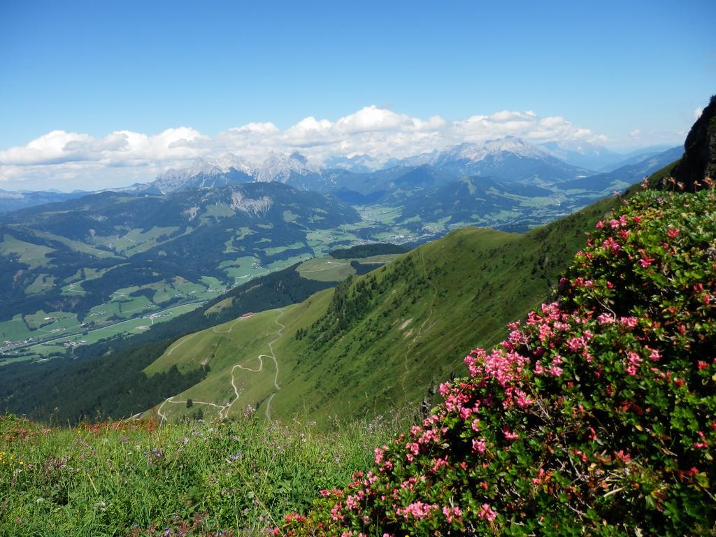 Alpenappartement Europa Sankt Johann in Tirol Exterior foto